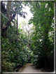 foto Parco botanico Terra Nostra
